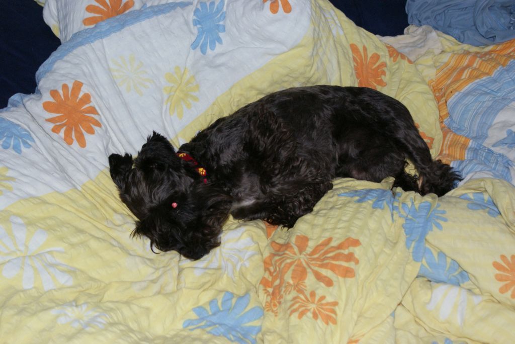 v peřinách je nejlíp